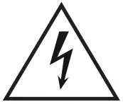 Electric Shaka icon