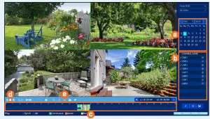 Lorex D241 Series 1080p HD Security DVR User Manual