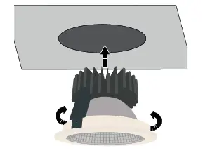 BRAINLIT-BIFROST-Spotlight-2