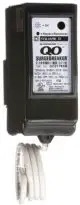 Schneider Electric SPDs Surge Protection Devices-FIG5