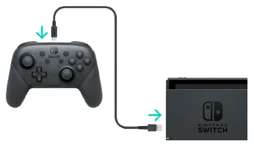 Nintendo-Switch-Pro-Controller-fig-1
