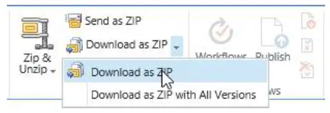 boostsolutions Bulk Zip &amp Unzip 2.0 SharePoint - fig24