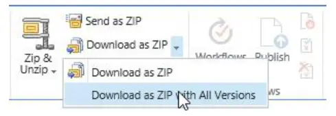 boostsolutions Bulk Zip &amp Unzip 2.0 SharePoint - fig26