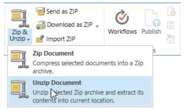 boostsolutions Bulk Zip &amp Unzip 2.0 SharePoint - fig5