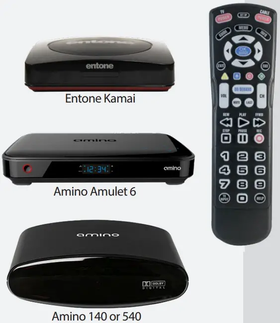 Royal Big Button Remote