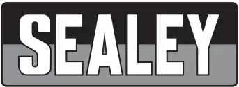 SEALEY-PW1601-110BAR -Washer -TSS -with-Accessory-Kit-LOGO