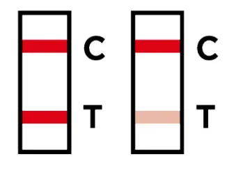 FaStep-COVID-19-Antigen-Home-Test-fig- (14)
