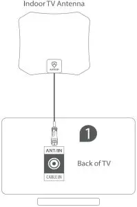 Connecting Induction