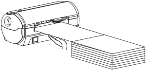 Folded paper installation