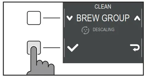 BREW GROUP CLEANING