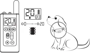 D11T - Test Training Mode 2