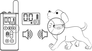 D11T - Test Training Mode 3