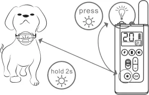 D11T - Test Training Mode 4