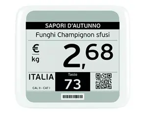 Hanshow-Stellar-XL-E31P Series-Electronic-Shelf-Label