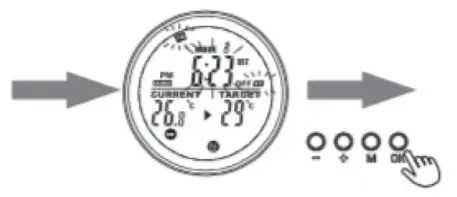 KLARSTEIN 10034234 Infrared Heater - Display 1