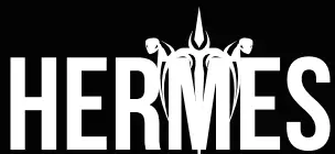 HERMES logo