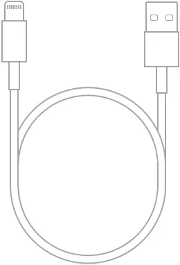 The Lightning to USB Cable.