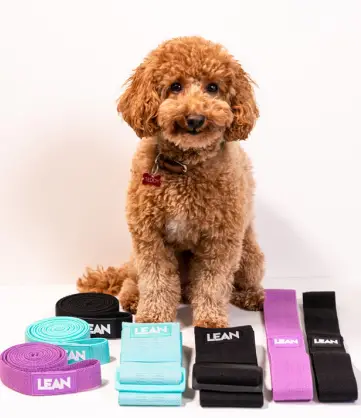 LEAN-Lilly-Sabri-App-FIG-4