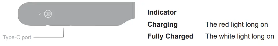 ALFOX AF-BH011 Surround Wireless Earbuds - Charging