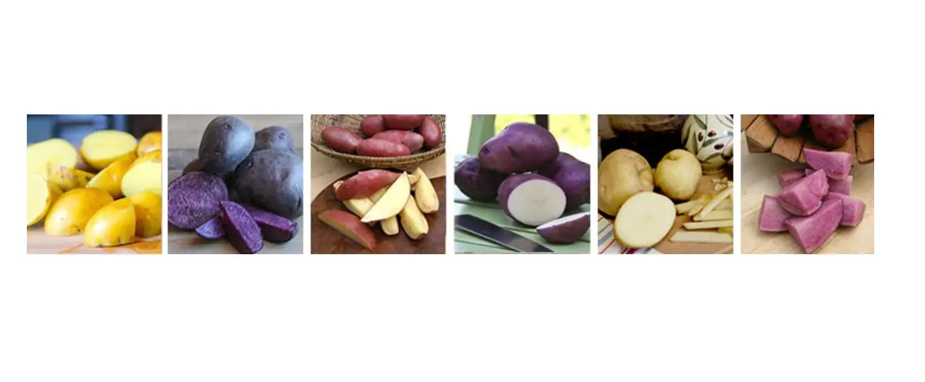 Renee S Garden Seed Potato Growing Guide Instructions Renee S Garden Seed Potato Growing Guide Instructions