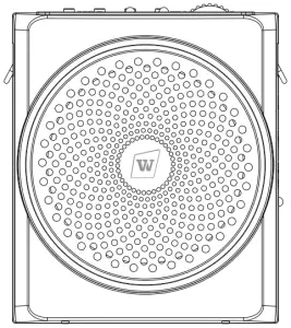 WinBridge Voice Amplifier S619 UHF