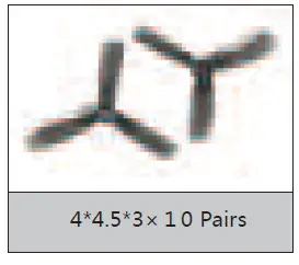 graphical user interface, text, application