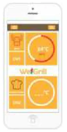 WeGrill One Smart Wireless Thermometer - User tips 2