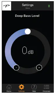 Paradigm X15 Defiance Subwoofer (18)