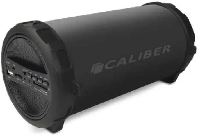 CALIBER HPG404BT Wireless Speaker -