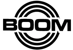 ION-iPA163-Party-Boom-Plus-Bluetooth-Speaker-ION-iPA163-Party-Boom-Plus-Bluetooth-Speaker-fig-13