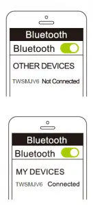 TEAC True Wireless Earbuds with Wireless Charging TWSMJV6 User Manual