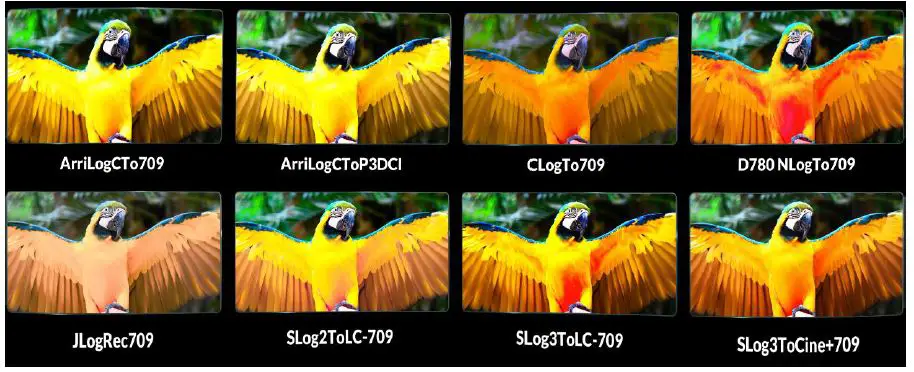 LILLIPUT-RM1731-17-3-Inch-1RU-Pull-Out-Rack-Mount-Monitor-FIG 5