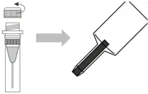 Preparation before Test