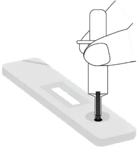 Preparation before Test