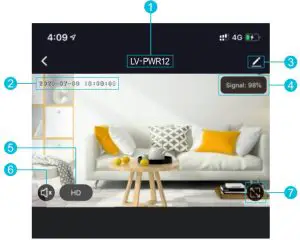 Live View & Playback