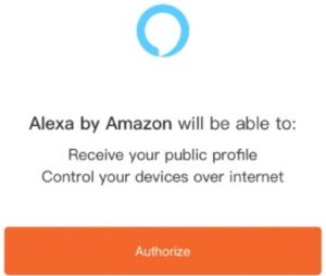 Alexa Set up
