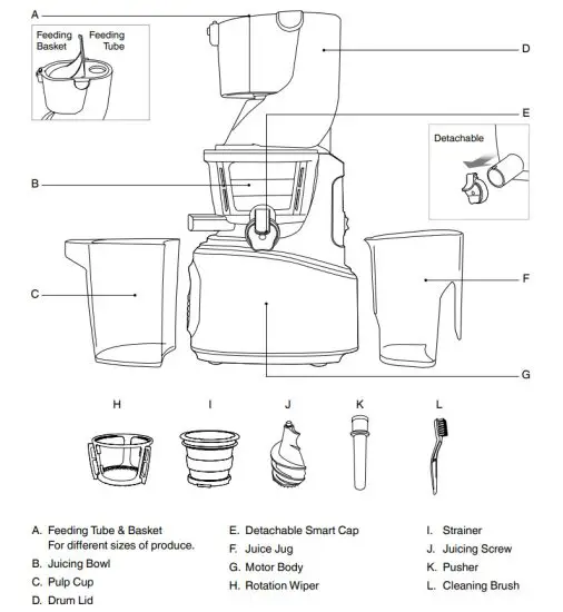 Sage BJS700 The Big Squeeze Slow Compression Juicer - figure 1