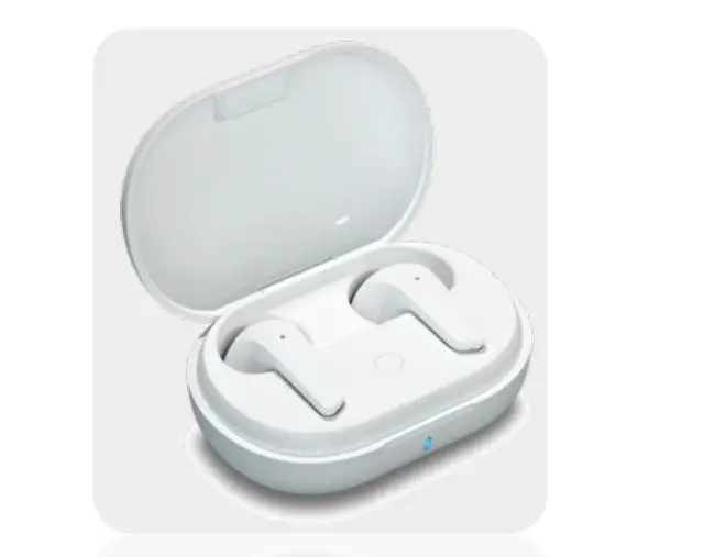 Inventec Appliances DOLFIN TWS Earphone