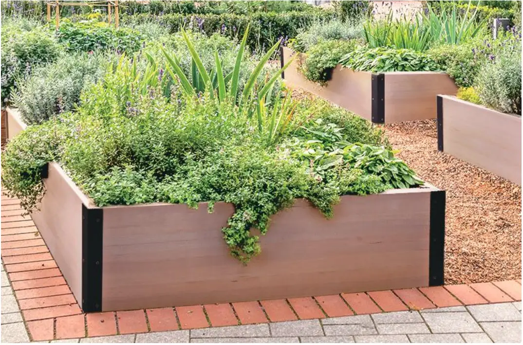 Quictent WGB 01 WGB 02 Elevated Wooden Garden Bed - Garden Beds 5