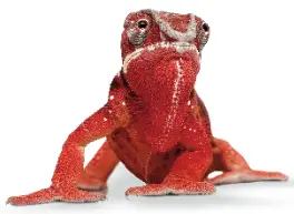 ELATEC TWN4 USB Front Reader - fig 3