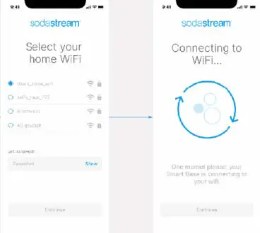 mesh-SST200-Device-fig-3
