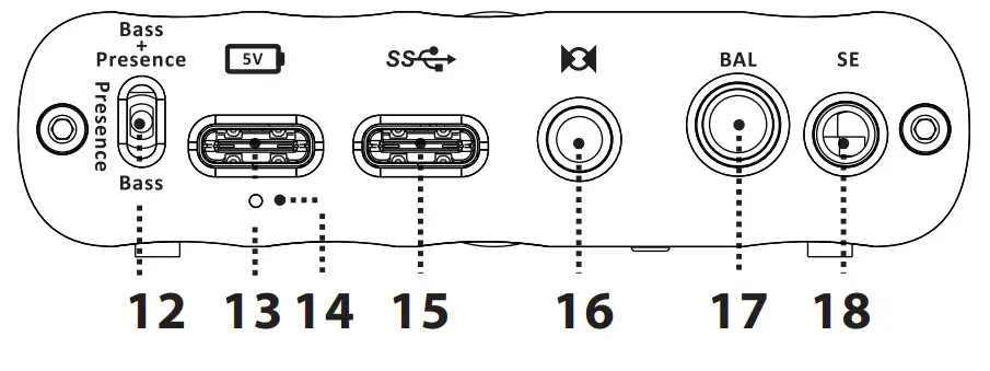 ifi xDSD Gryphon Handheld Streaming DAC - OLED display