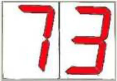 HAYWARD Pool Rx Socket Dosing Pum 12