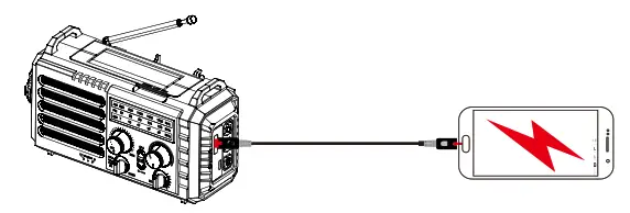 Raynic CR1009 Emergency Alert Radio-CHARGING PHONE