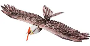 Dancing Wings Hobby Eagle II EPP Airplane Instruction Manual