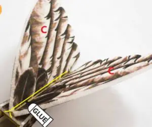 Dancing Wings Hobby Eagle II EPP Airplane Instruction Manual