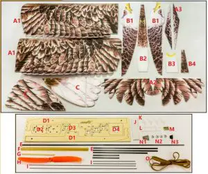 textDancing Wings Hobby Eagle II EPP Airplane Instruction Manual