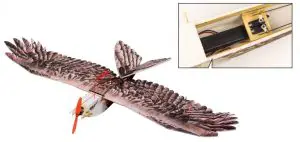 Dancing Wings Hobby Eagle II EPP Airplane Instruction Manual