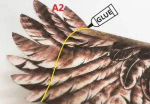 Dancing Wings Hobby Eagle II EPP Airplane Instruction Manual