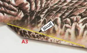 Dancing Wings Hobby Eagle II EPP Airplane Instruction Manual